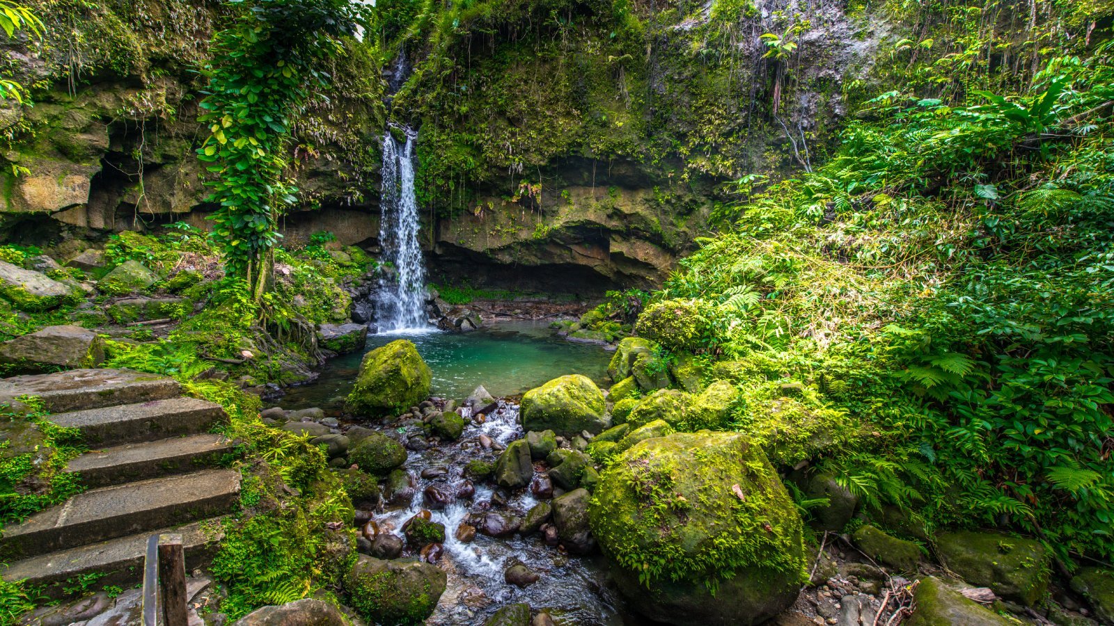 <p class="wp-caption-text">Image Credit: Shutterstock / haspil</p>  <p><span>Known as the “Nature Island,” Dominica stands out for its lush rainforests, abundant waterfalls, and hot springs, all part of a concerted effort to promote eco-tourism and sustainability. The island’s commitment to preserving its natural environment is matched by its development of renewable energy sources and community-based tourism initiatives.</span></p>