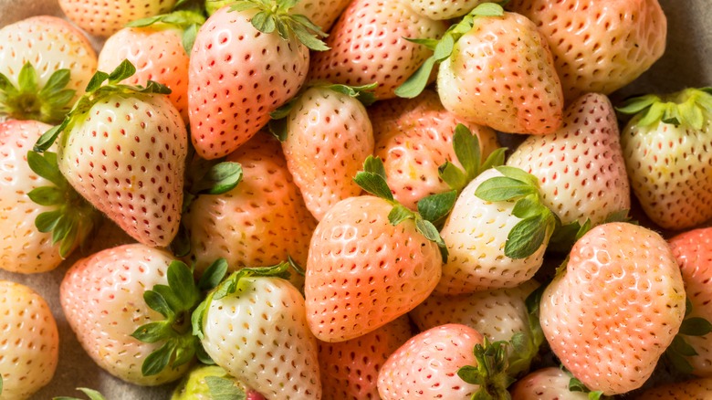 Pineberries Vs Strawberries: What's The Difference?