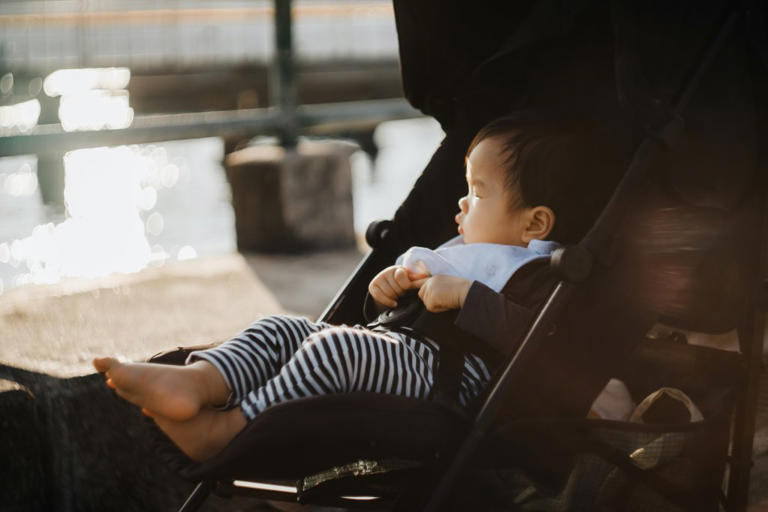 The best strollers on the market right now to suit every lifestyle