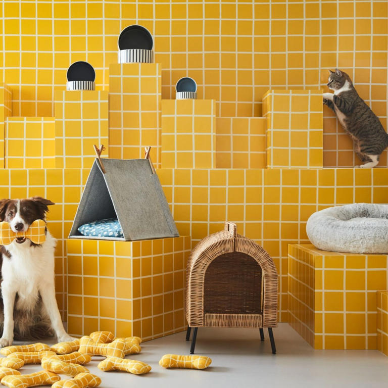 Ikea Has Just Launched A Pet Collection Featuring Some Seriously 