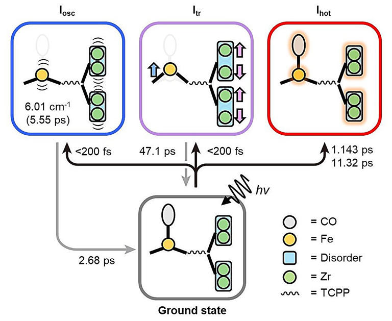 Filming Ultrafast Molecular Motions In Single Crystal