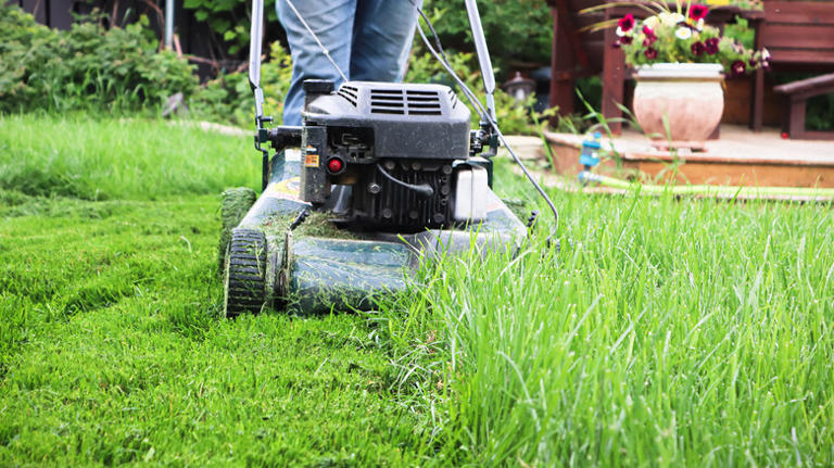 Stop Throwing Grass Clippings Away After Mowing The Lawn. Here's Why