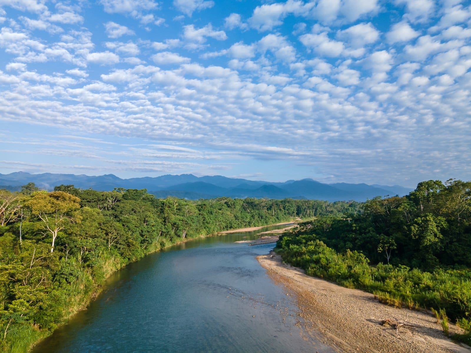 <p class="wp-caption-text">Image Credit: Shutterstock / Wirestock Creators</p>  <p><span>Tena, known as the “Cinnamon Capital” of Ecuador, is a lesser-known entry point to the Amazon Rainforest, offering a more intimate setting for shamanic exploration. The region is home to several indigenous tribes, such as the Kichwa, who maintain a deep connection to their ancestral lands and traditions. Shamanic tours here often involve cleansing rituals, traditional music, and storytelling, providing insights into the spiritual relationship between the people and the rainforest.</span></p>