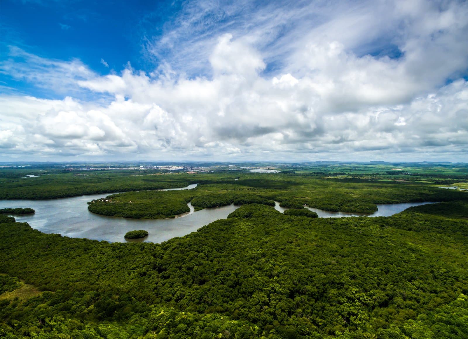 <p class="wp-caption-text">Image Credit: Shutterstock / Gustavo Frazao</p>  <p><span>Manaus, the capital of the Amazonas state in Brazil, stands as a historical and cultural hub amidst the dense Amazon Rainforest. Beyond its urban facade, Manaus offers pathways to shamanic experiences within the surrounding jungle, where the rich biodiversity of the Amazon supports a plethora of medicinal plants used in traditional healing practices.</span></p>