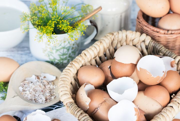 Brown Or White Eggs – Which Is Healthier?