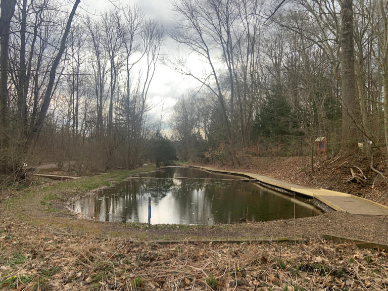 Delco Officials Hope Enhanced Wetland Habitat Has Curb Appeal To Draw 