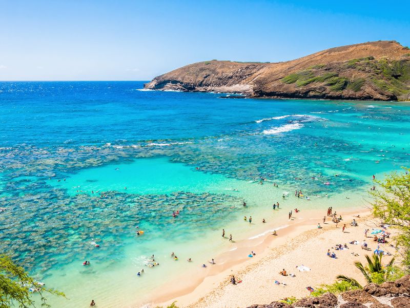 <p><a href="https://ecolodgesanywhere.com/best-time-to-visit-hawaii/">Best Time to Visit Hawaii (All Seasons Explained)</a></p>