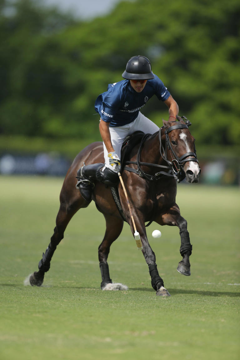 La Dolfina wins USPA Gold Cup, denying Adolfo Cambiaso his 16th polo ...