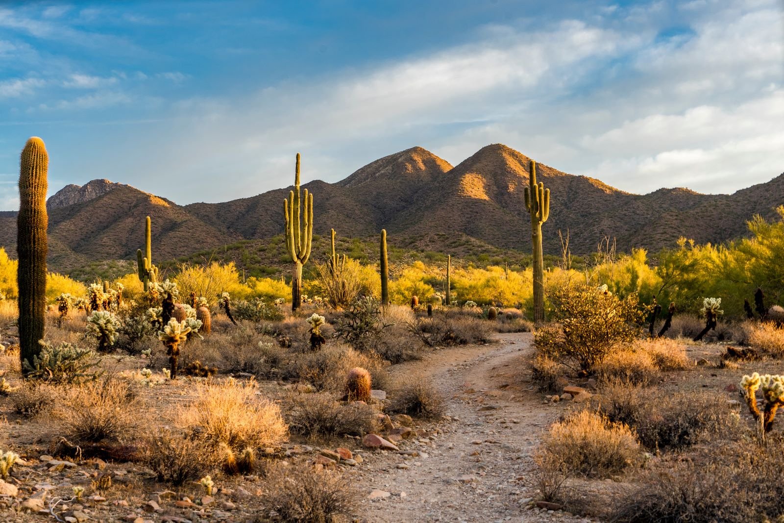 <p><span>Scottsdale is one of the best places for retired folks. It has a</span><a href="https://www.point2homes.com/US/Neighborhood/AZ/Scottsdale-Demographics.html#:~:text=There%20are%20238%2C685%20residents%20in%20Scottsdale%2C%20with,48.92%%20are%20males%20and%2051.08%%20are%20females." rel="noopener"><span> median age of close to 50 years</span></a><span> and offers golfing spots, spas, and beautiful architecture to its citizens. It also has some brilliant restaurants that cater to every foodie. However, the city has extreme summers with temperatures crossing the 100°F mark. While the healthcare system can improve, the crime rate is lower than the national average, so that’s a plus. </span></p>