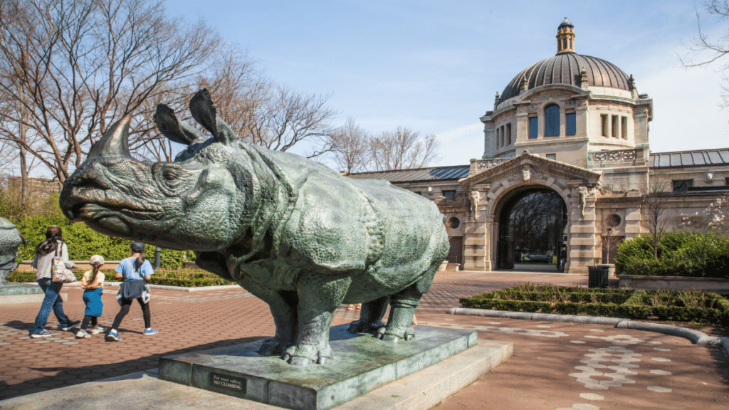 <p>Open since 1899, the Bronx Zoo is one of the oldest and largest in the country today. It provides habitat for over 4,000 animals, many of which are rare or endangered.</p><p>Fun Fact: The Bronx Zoo played a pivotal role in saving the American bison from extinction. In the early 20th century, it bred bison in captivity and later sent them to western states to repopulate the species.</p>