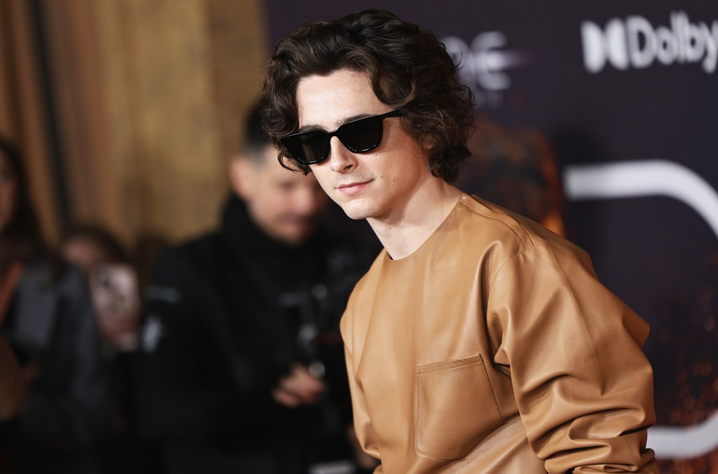 Timothée Chalamet Transforms Into Bob Dylan On Set Of ‘A Complete ...