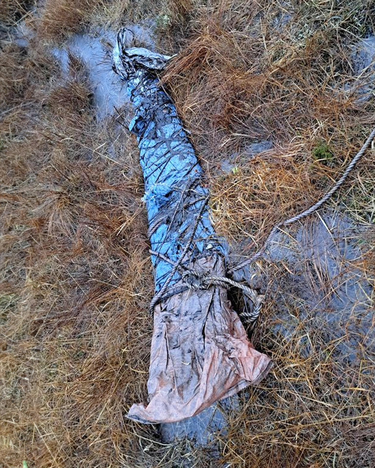 WWII Plane Propeller Unearthed in Scottish Peat Bog Puzzles Archaeologists