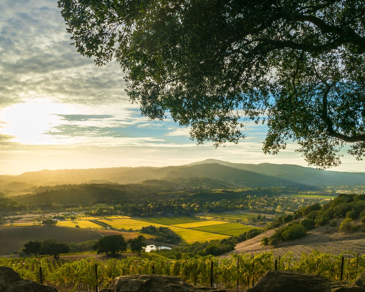 <p>Wine lovers, rejoice! We've found the perfect destination for your next mother-daughter trip. <a href="https://www.veranda.com/travel/g39959146/what-to-do-in-sonoma-valley/">Sonoma</a> is chock-full of natural beauty as well as incredible wineries and restaurants. Take it easy after a long day of wine tasting with a spa day or afternoon by the pool.</p><p><a class="body-btn-link" href="https://go.redirectingat.com?id=74968X1553576&url=https%3A%2F%2Fwww.tripadvisor.com%2FHotel_Review-g33107-d117820-Reviews-MacArthur_Place_Hotel_Spa-Sonoma_Sonoma_County_California.html&sref=https%3A%2F%2Fwww.veranda.com%2Ftravel%2Fg43507097%2Fbest-mother-daughter-trips%2F">Shop Now</a></p>