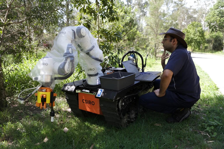 Future Robots To Stay One Step Ahead Of Bushfires