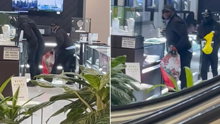 Video Shows Illinois Thieves Smashing Glass Display Cases And Snatching 