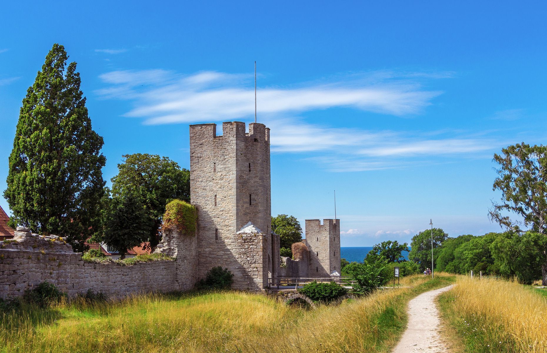 <p>Interested in Vikings? Then be sure to plan a trip to <a href="https://visitsweden.com/where-to-go/southern-sweden/gotland/" rel="noreferrer noopener">Gotland Island</a> while in Sweden. Visitors can tour the old walled city of <a href="https://visitsweden.com/where-to-go/southern-sweden/gotland/visby/" rel="noreferrer noopener">Visby</a> and participate in immersive activities recreating the daily life of these Scandinavian ancestors. Check out medieval markets, mead tasting, jousting tournaments, and traditional parades.</p>