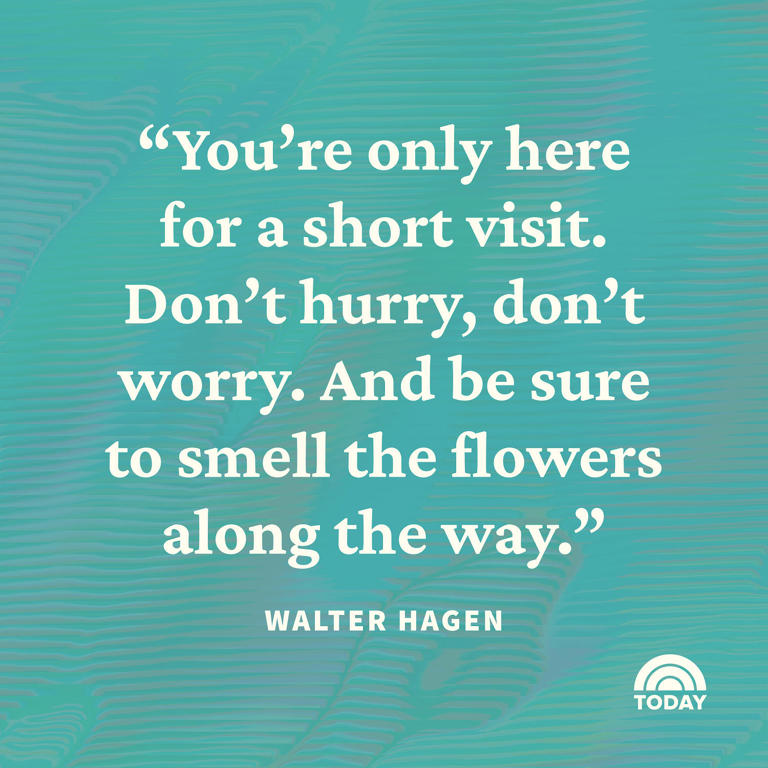 50 Flower Quotes That Spread A Little Sunshine