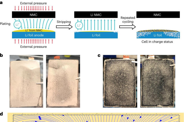 Experimental and theoretical study of Li+ detour behavior during the electroplating process. Credit: Nature Energy (2024). DOI: 10.1038/s41560-024-01488-9