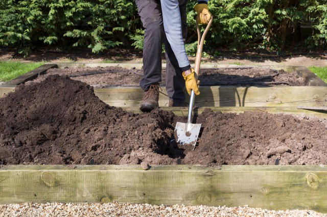 No Dig Gardening? How to garden without tools