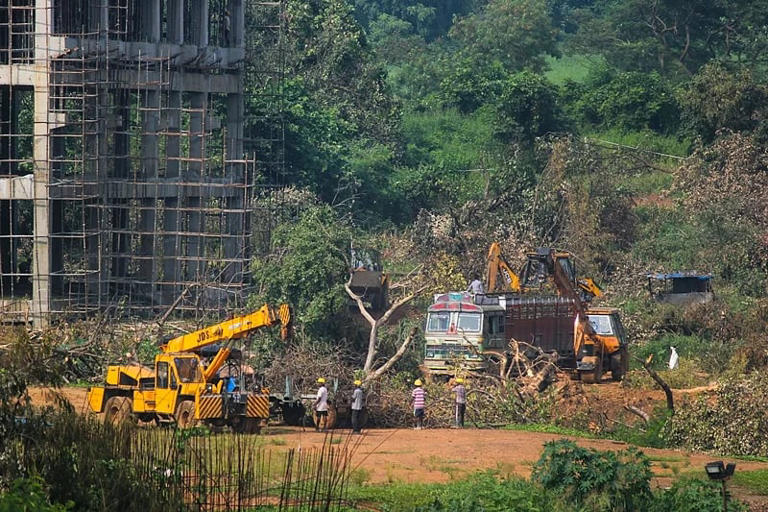 Mmrcl Proposes Replanting 119 Trees Out Of 257 Uprooted For Mumbai 