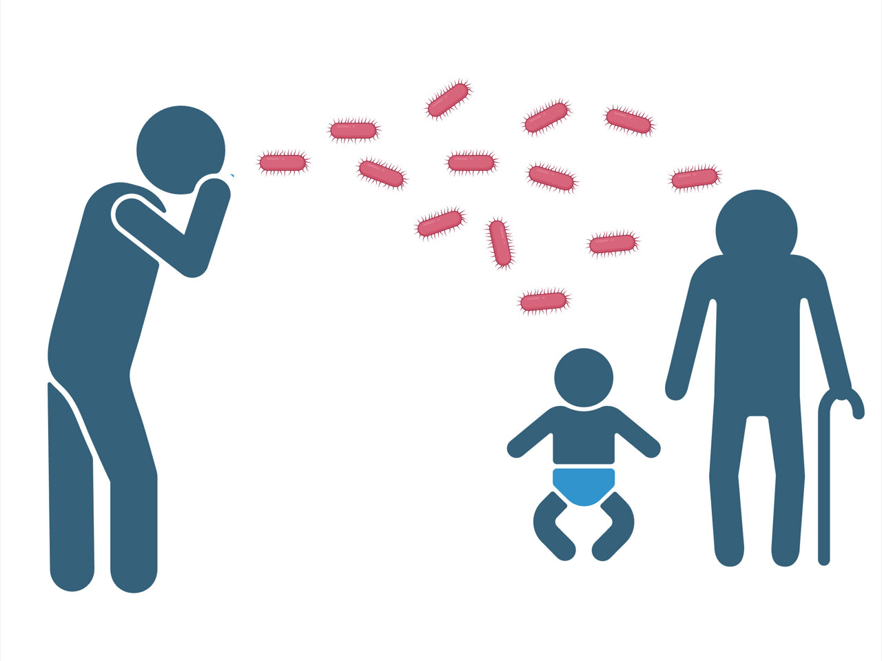 Researchers Uncover Key Biomolecule Involved In Whooping Cough Infection