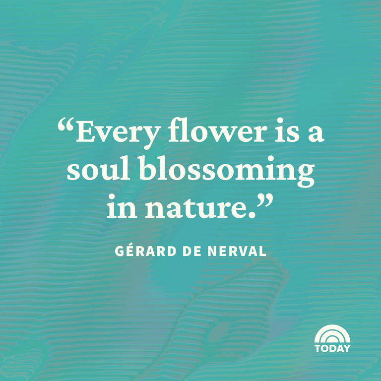 50 flower quotes that spread a little sunshine