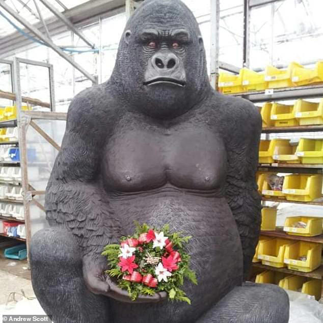 Stolen £3,000 8ft 'Gary the gorilla' statue is found on a layby in Fife  after being snatched - and has been reunited with its owner
