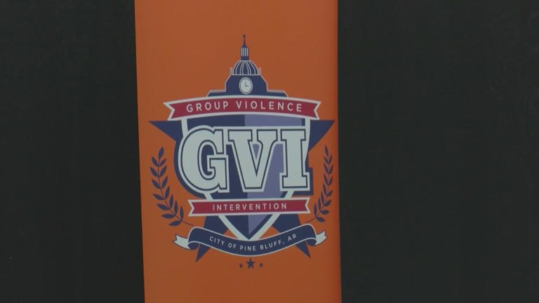 Pine Bluff’s Group Violence Intervention holds discussion aimed at ...