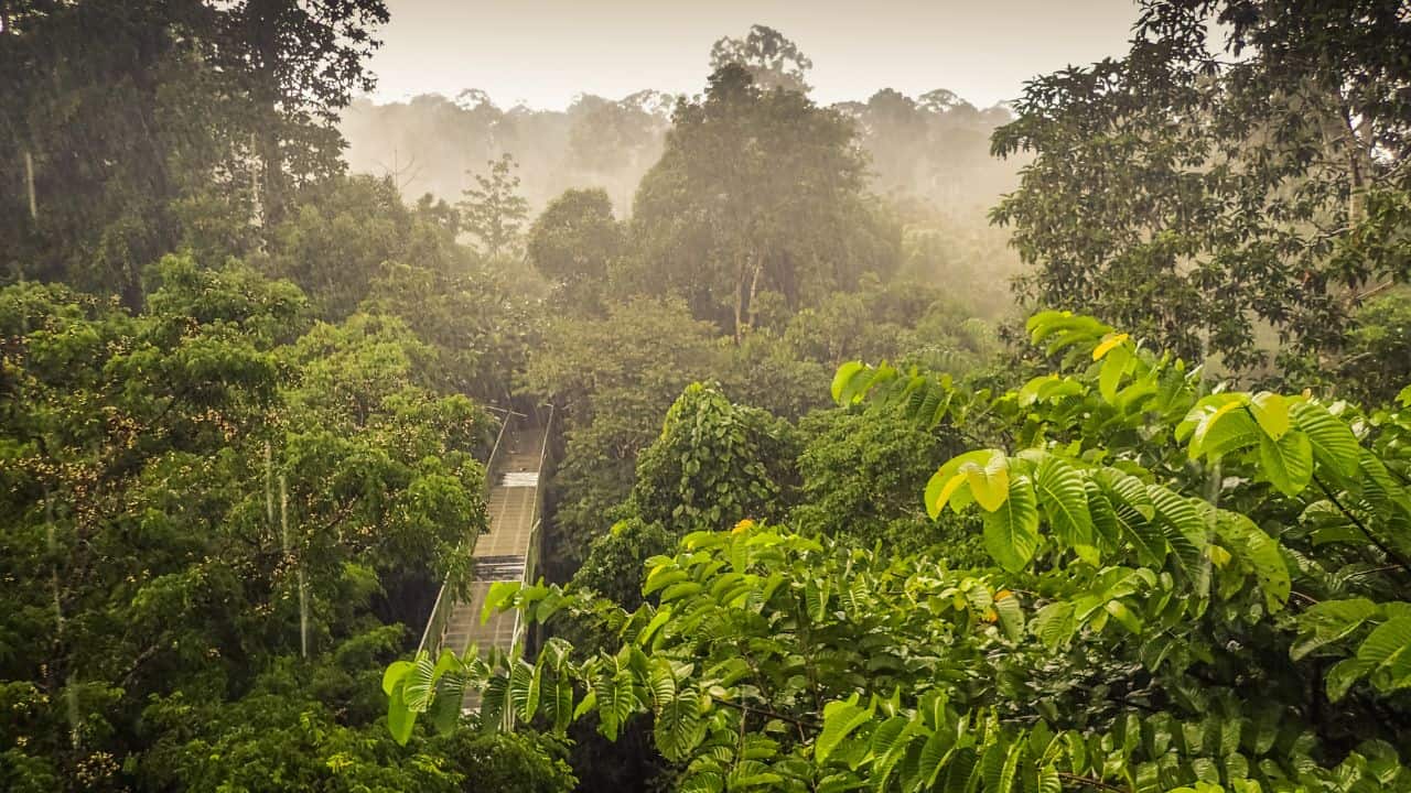 <p><span>Borneo is a bucket list destination for many, synonymous with orangutans and rainforest lodges. It’s the third-largest island in the world and is divided into thirds belonging to Malaysia, Indonesia, and Brunei.</span></p><p><span>Borneo has one of the oldest rainforests in the world and is known for its biodiversity. But it hasn’t been without its issues. Palm oil plantations have taken over a significant portion of the forest, significantly affecting the animals there.  </span></p><p><span>The good news is that the government and local charities take conservation and reforestation seriously, ensuring this island can continue offering unique tourist experiences.</span></p><p><span>March, April, and May are the <a href="https://thefamilyconscience.com/what-is-the-best-time-to-visit-borneo-planning-your-trip/" rel="noopener">best times to visit Borneo</a>. These months have the least rainfall, and temperatures aren’t relatively as high as in summer. May and September may also be a bit cheaper and less competitive when it comes to <a href="https://thefamilyconscience.com/the-best-hotels-in-borneo-for-families/" rel="noopener">securing accommodation</a>. You’ll also be able to enjoy smaller crowds at popular tourist spots. </span></p><p><span>Malaysian Borneo is home to two popular vacation destinations: Sandakan and Kota Kinabalu, both in the Sabah region to the north of the island. During <a href="https://thefamilyconscience.com/borneo-with-kids-and-the-perfect-family-itinerary/" rel="noopener">our family trip</a> to the island, we visited the recommendations below.</span></p>