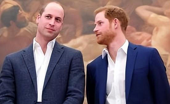 俩王子和好！凯特王妃患有癌症后，哈里王子联系了他哥哥威廉王子