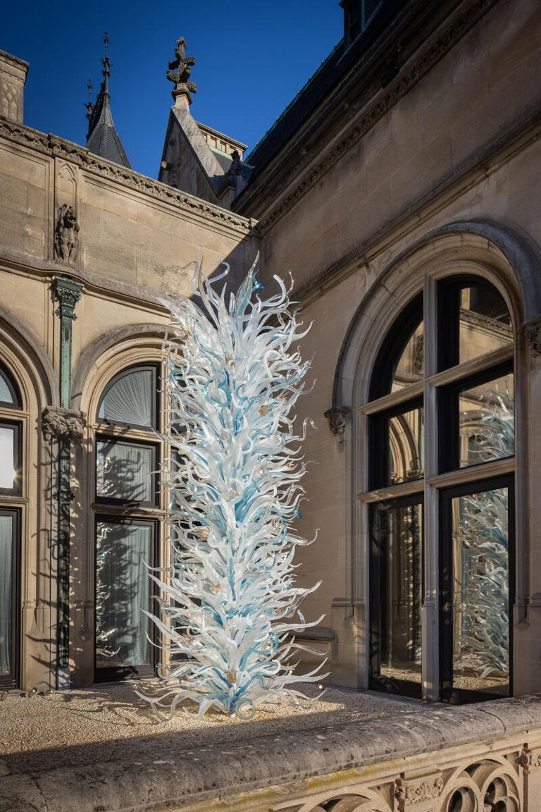 'Chihuly at Biltmore' art exhibit opens with glass chandeliers, more at