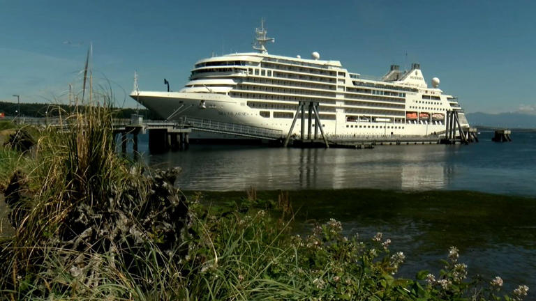 A cruise ship is pictured at the Nanaimo dock in 2019, the last time cruises came through the city.