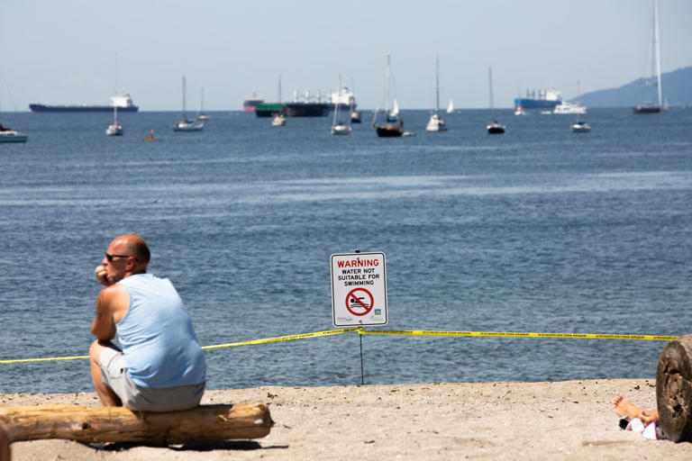 Who's to blame for contaminated shellfish? Researchers follow the fecal ...