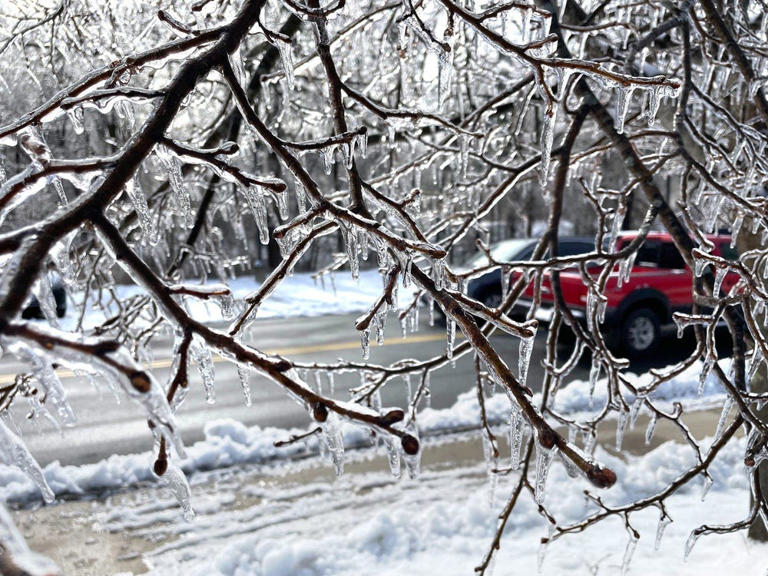 Ice covers tree branches in South Berwick, Maine on March 24, 2024, after an ice storm knocked out power for thousands over the weekend.