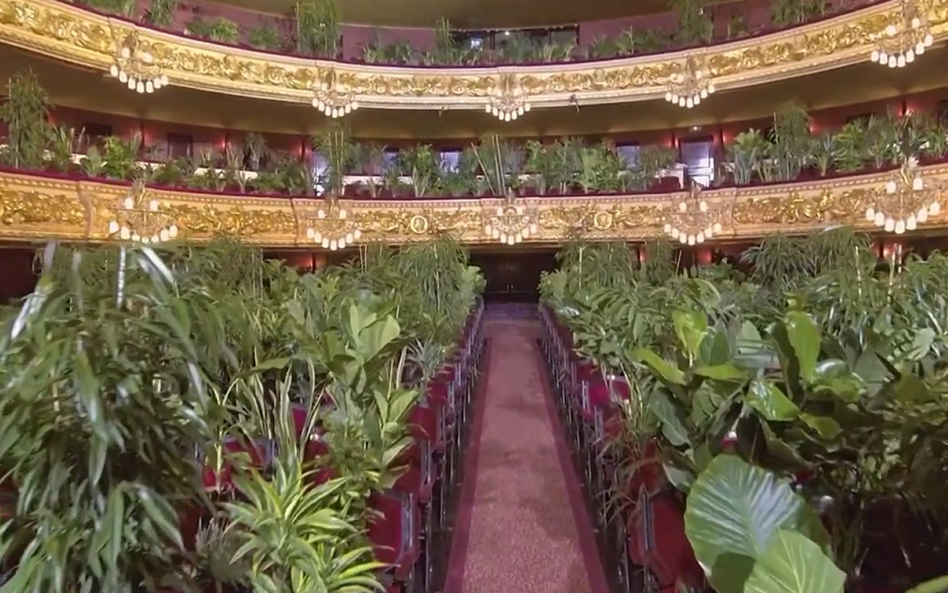 Parler à ses plantes favorise leur croissance et leur bien-être, selon ...