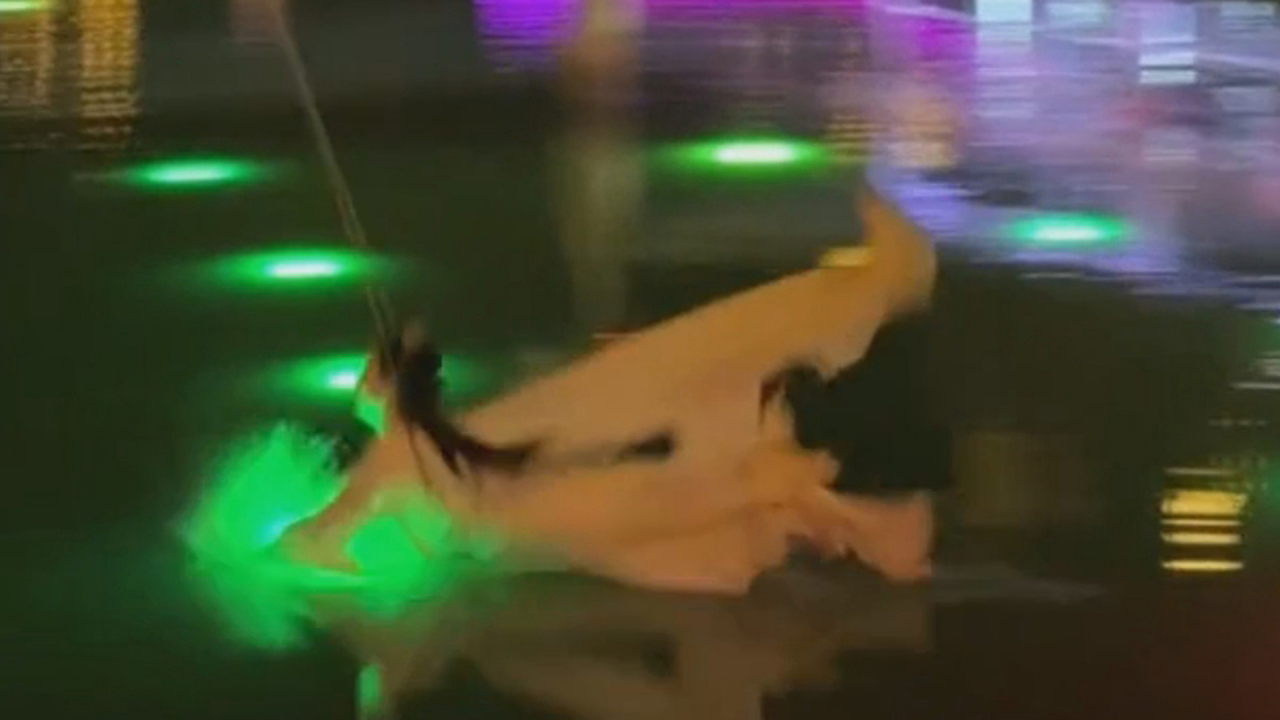Une actrice accidentellement traînée dans un étang lors d'un spectacle