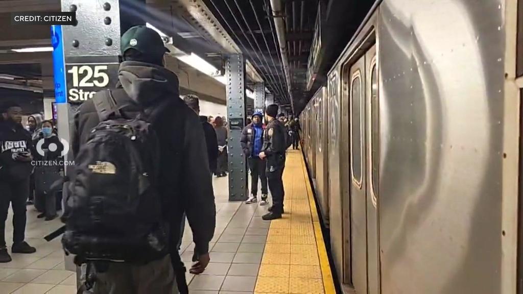 Bronx Man Charged With Murder After Subway Rider Pushed Onto Tracks In ...