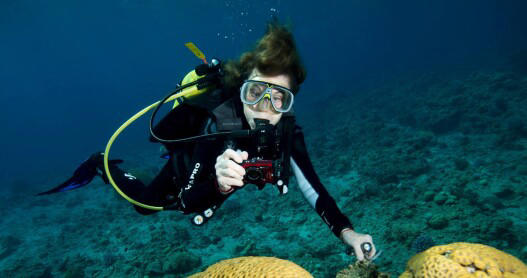 Oceanographer Sylvia Earle on Cruise Ships and Conservation