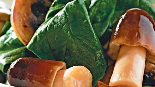 ¿cuál es la mejor forma de comer espinacas? 10 recetas sabrosas para disfrutarlas