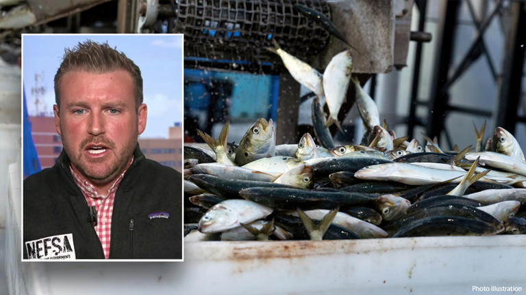 New England Fishermen’s Stewardship Association (NEFSA) COO Dustin Delano claimed the industry is getting hit "from every direction" by the Biden administration. Fox News
