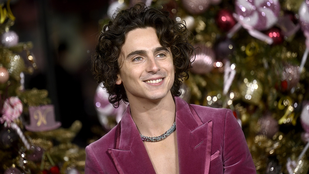 timothée chalamet signs warner bros. deal to star in and produce new movies after ‘wonka' and ‘dune' success