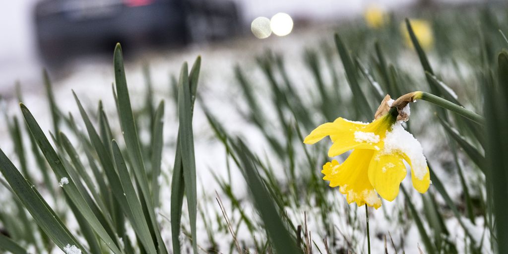 Blandat påskväder snö i norr och varmt i söder