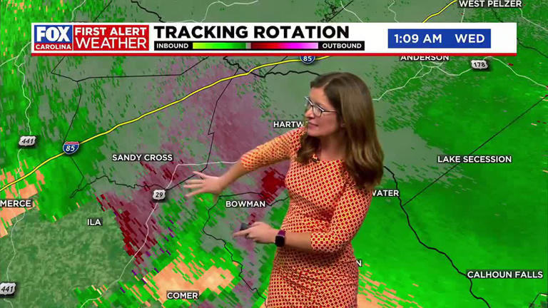 Storm damage in Newberry County and Elbert County