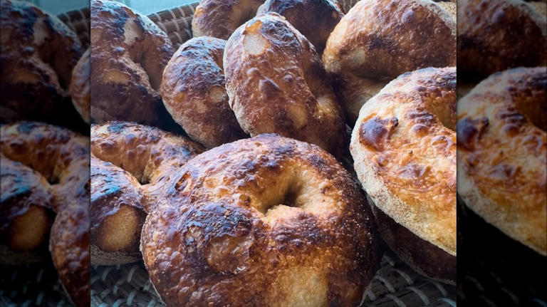 14 Best Spots For Bagels In Denver, According To A Former New Yorker