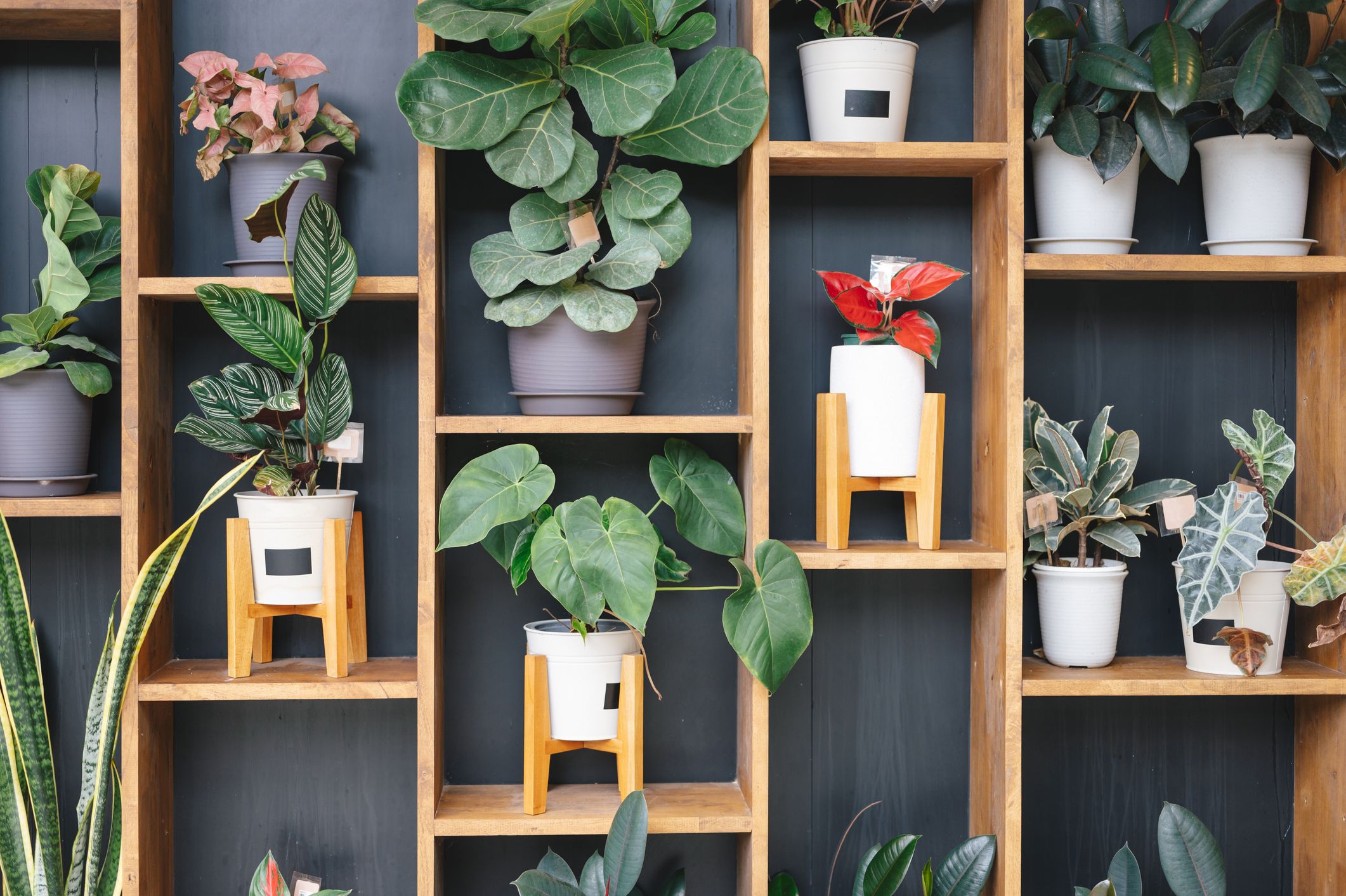 the-15-best-self-watering-planters-for-even-the-most-forgetful-plant