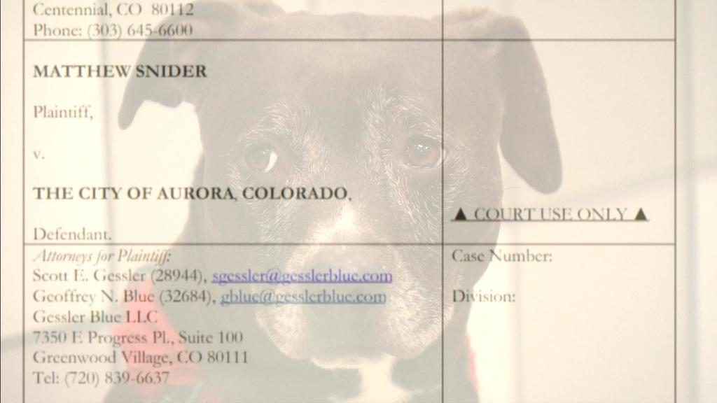 Colorado Judge Reinstates Aurora's Ban On Pit Bulls