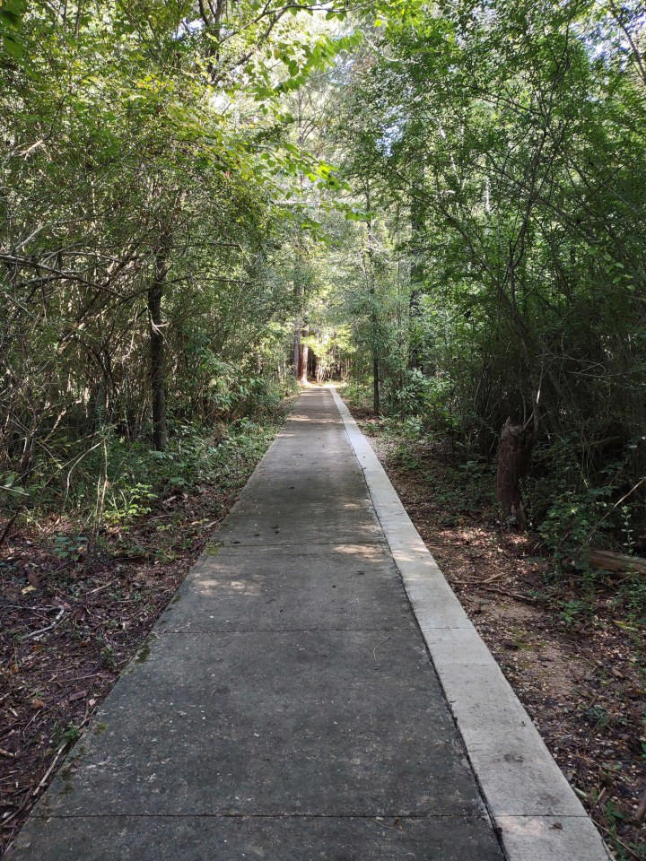 This Long-Abandoned Alabama Town Is Now A Tourist Attraction And ...