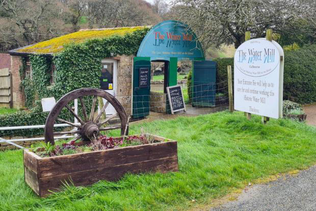 Calbourne Water Mill to open to visitors this summer