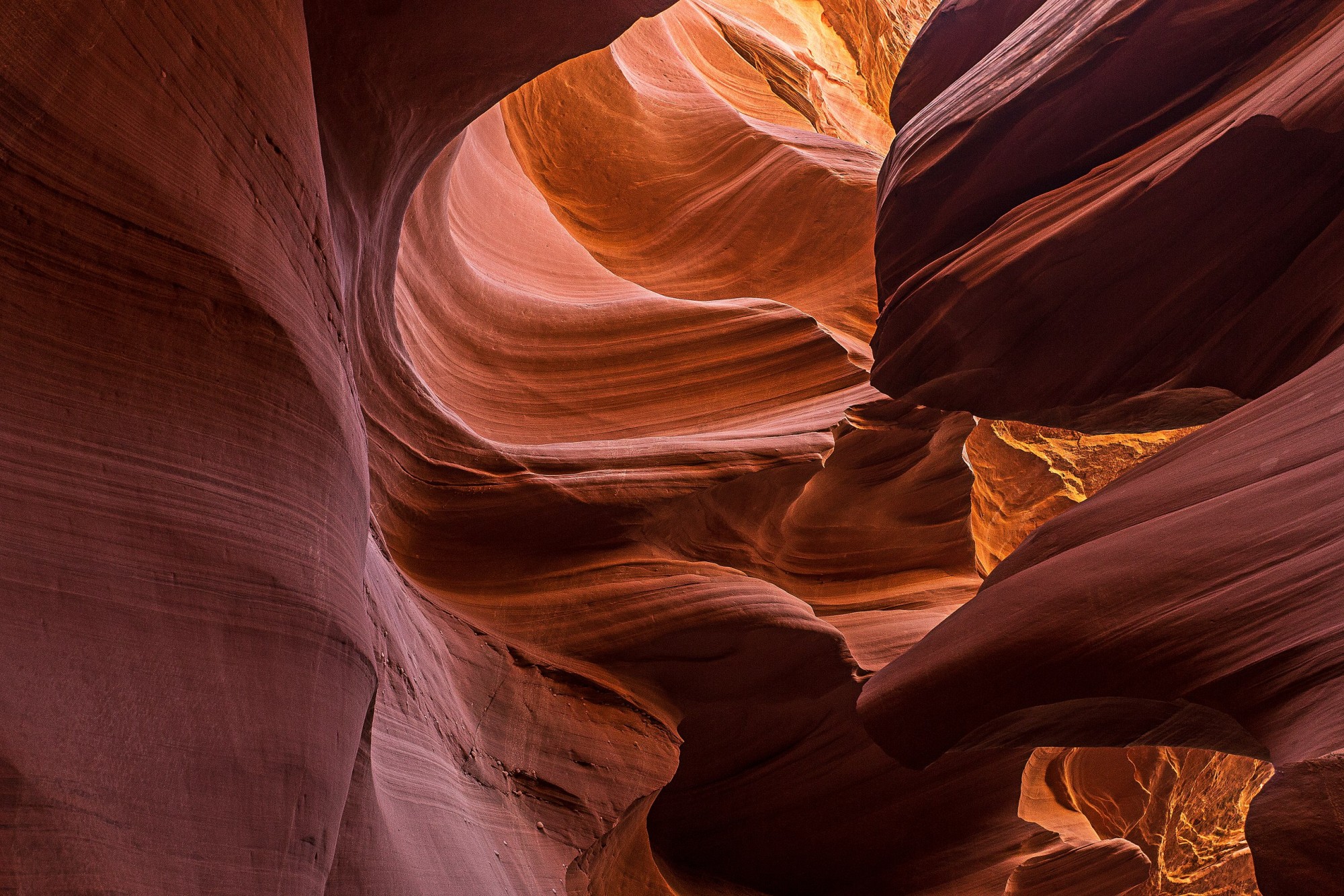 Despite its beauty, Antelope Canyon is not without its dangers. The canyon's geography causes flash floods that pose a threat to unsuspecting visitors. In 1997, tragedy struck when eleven people lost their lives to a sudden surge of water. Since then, strict safety measures have been implemented to ensure the well-being of all who venture into the canyon's depths.