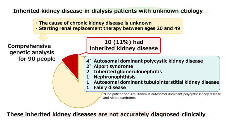 Researchers conducted a comprehensive genetic analysis of end-stage renal failure patients with chronic kidney disease of unknown cause. They found that more than 10% of these patients had disease-causing variants of several inherited kidney diseases. Moreover, these diseases were not accurately diagnosed clinically. Researchers conducted a comprehensive genetic analysis of end-stage renal failure patients with chronic kidney disease of unknown cause. They found that more than 10% of these patients had disease-causing variants of several inherited kidney diseases. Moreover, these diseases were not accurately diagnosed clinically. Credit: Department of Nephrology, TMDU